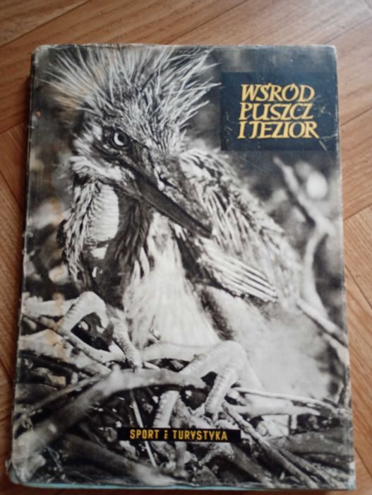 Album: ,,Wśród puszcz i lasów"