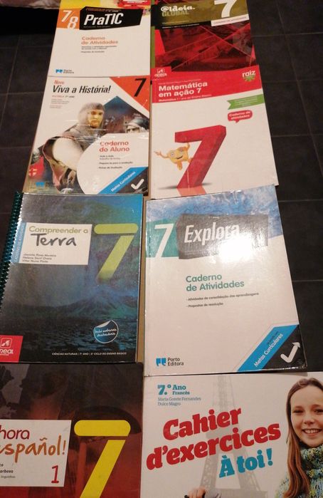 Livros de atividades do  7 ano