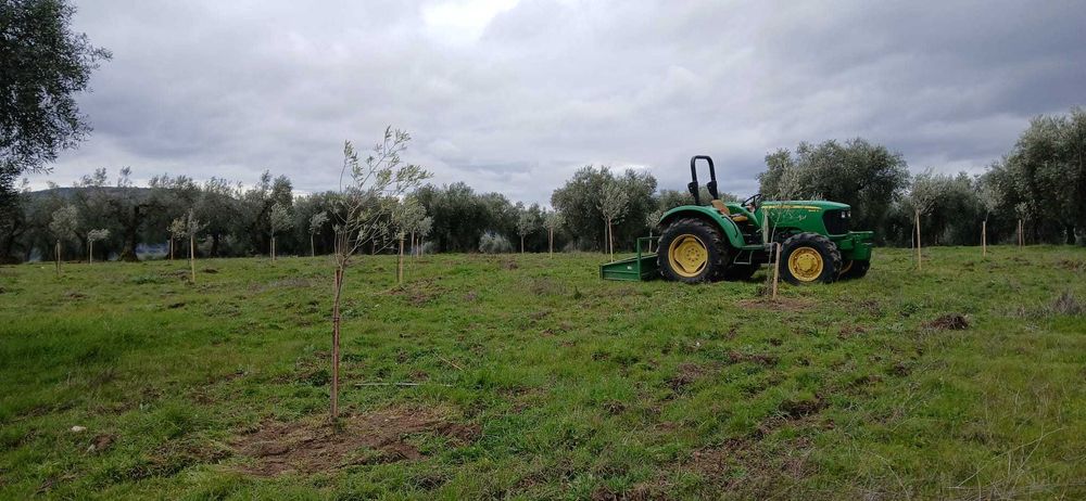 Jardinagem e limpeza de terrenos