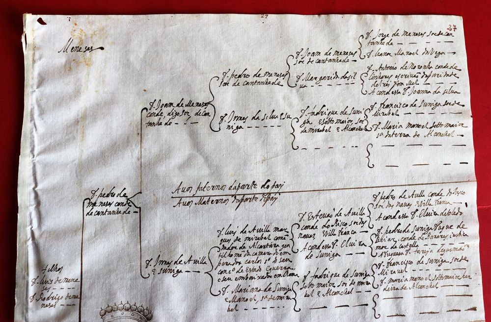Meneses, Condes de Cantanhede 1628 árvore genealógica