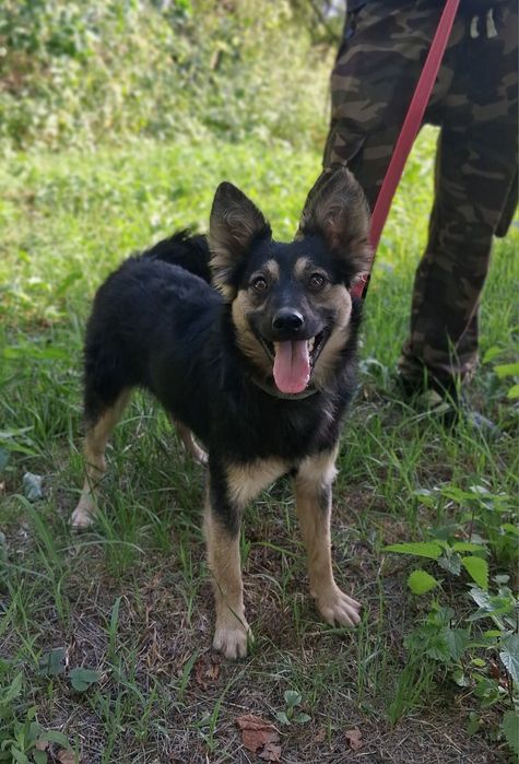 Młody, wesoły, wciąż bez domu