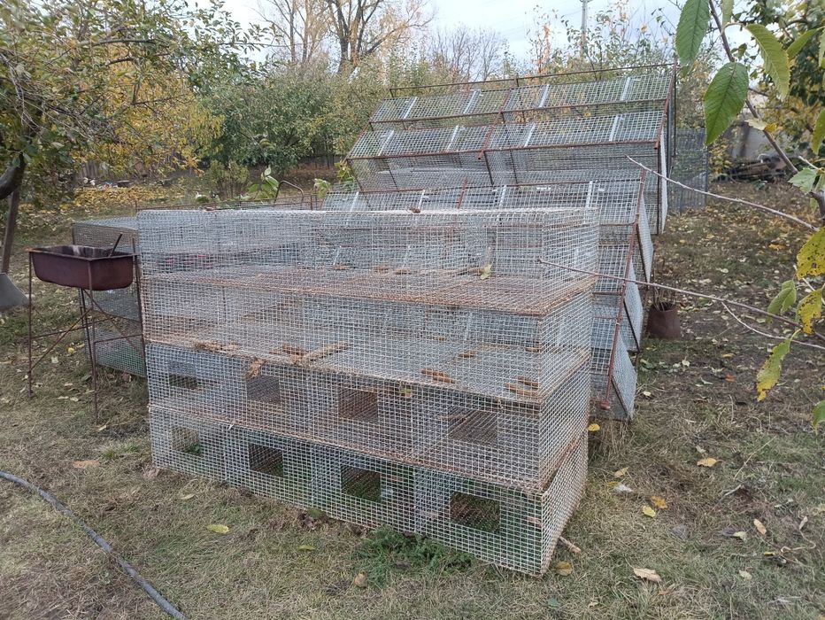 клітки для кролів чи птиці