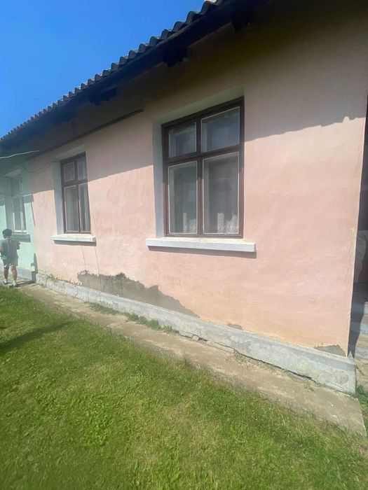 Частина будинкув селі Лужани
