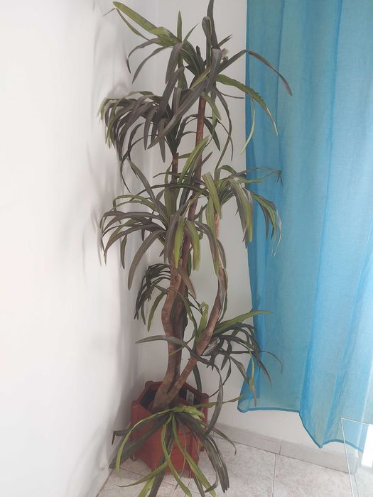 Planta artificial decorativa