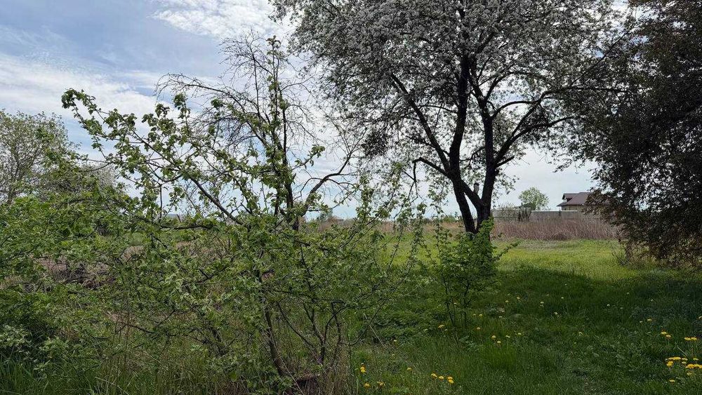 Продаж цегляного будинку 78м². 4 кімнати. 33 сотки. Центр. ID:813