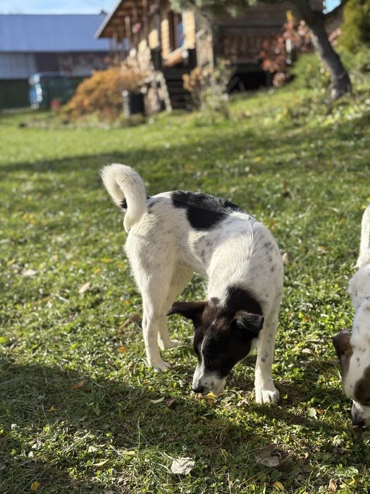 Jacuś, 8-miesięczny bąbel