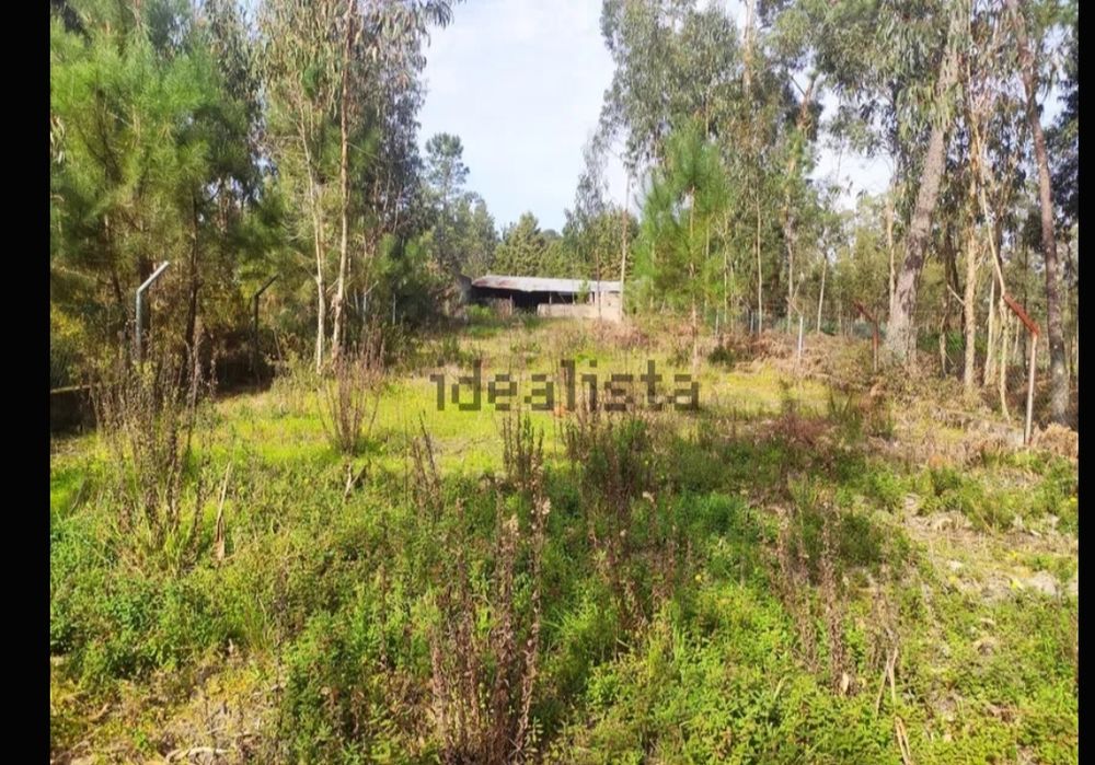 Terreno rústico 1000 mt2