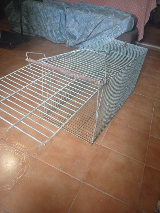 Armadilha para coelhos ou outros animais