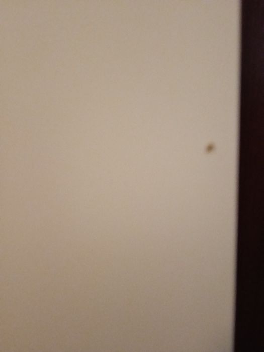 4 prateiras brancas Ikea