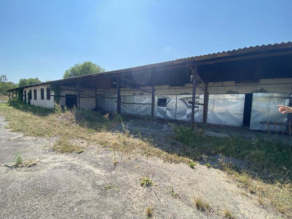 ‼️Продам паркетний цех 700м2 у передмісті Берегова с. Великі Береги