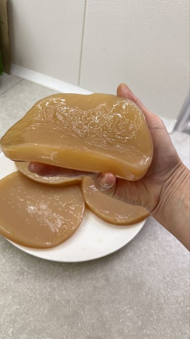 Продам чайный гриб