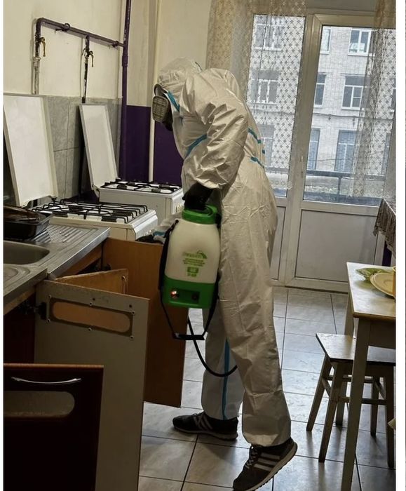 Уничтожим тараканов клопов клещей дезинсееция дератизация