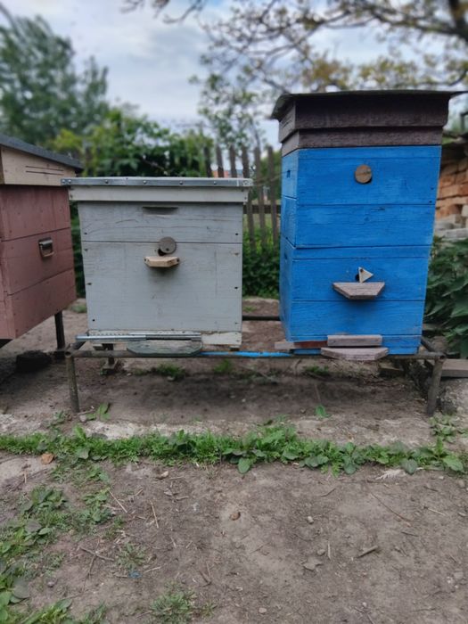 Продам вулики, можна з бджолами.