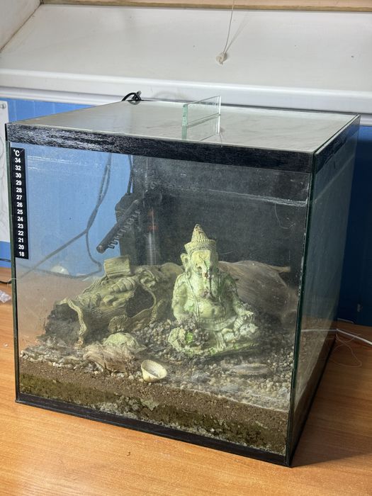 Акваріум аквариум терариум квадртаный 40л