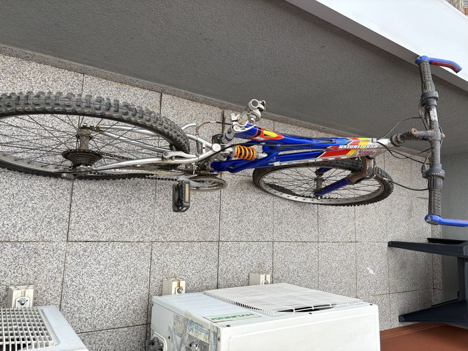 Bicicleta azul adulto