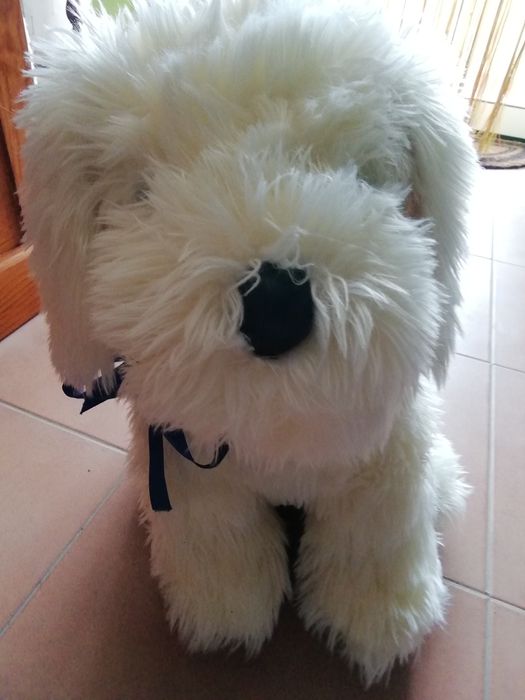 Peluches, cão muito bonito e ursos