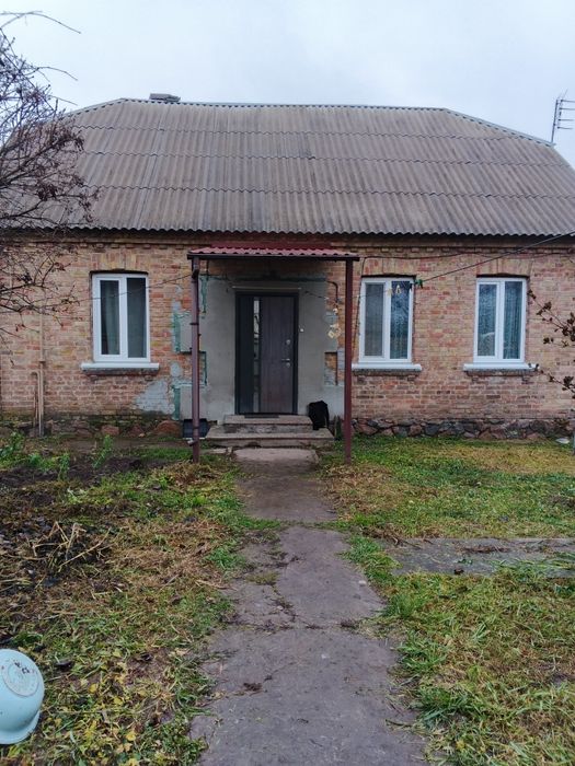 Здам окремий дом.Нові Петрівці.