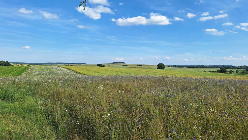 Działka budowlana | 20 km do Lublina | media w działce | piękny widok