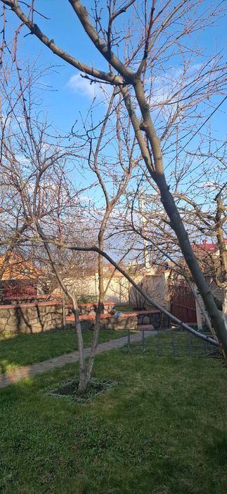 Дом по адресу Космонавтов просп. (площадь 209 м²) - Atlanta.ua - фото 11