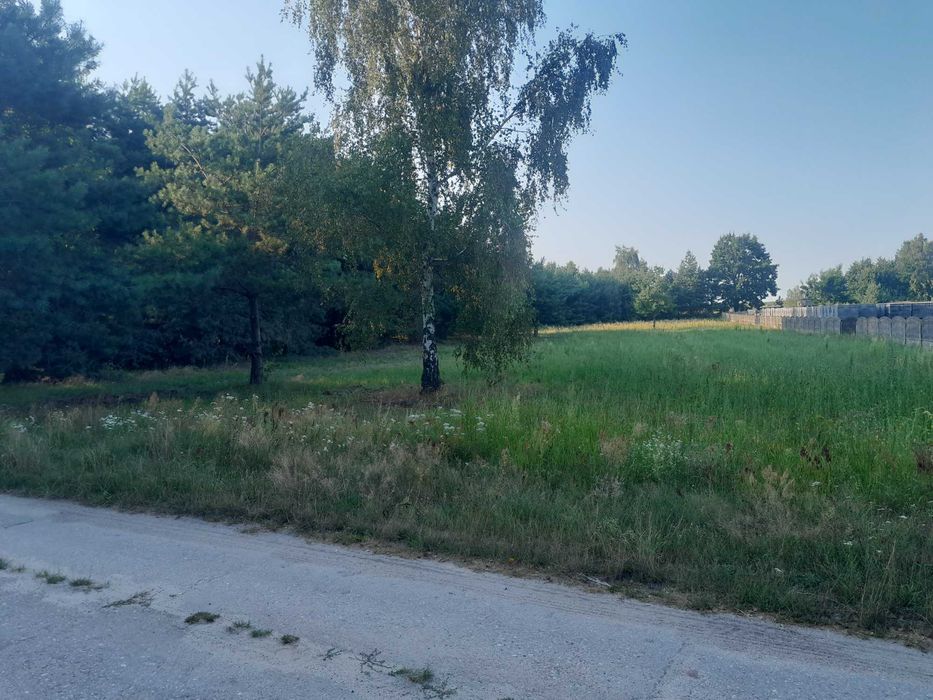 Zdjęcie 2