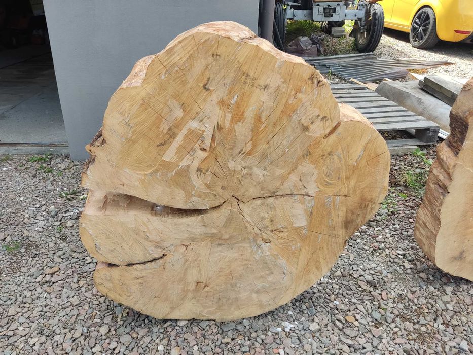 Plastry bukowe duże.