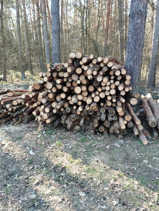Słupki do tymczasowych grodzeń (plac budowy, kurnik itp), stemple budowlane.
