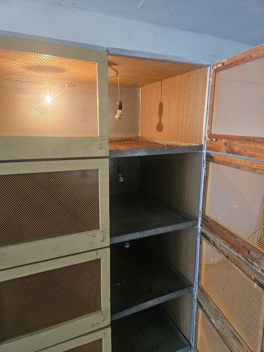 Klatki do odchowu piskląt