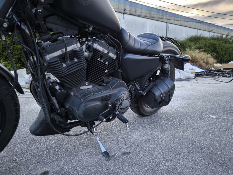 Harley Davidson 883 iron