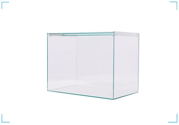 Aquário Scalare + Filtro Ehein + Luminária + Termostato