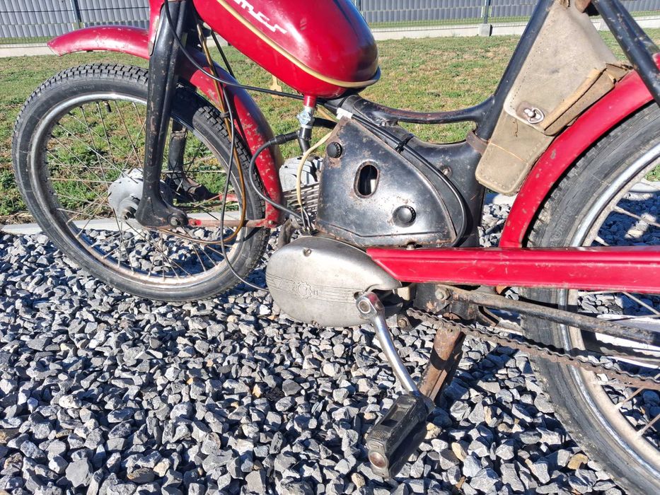 Komar sztywniak 1968