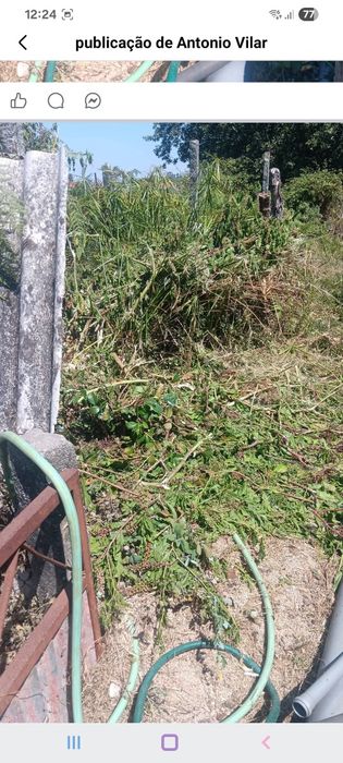 Serviços de jardinagem