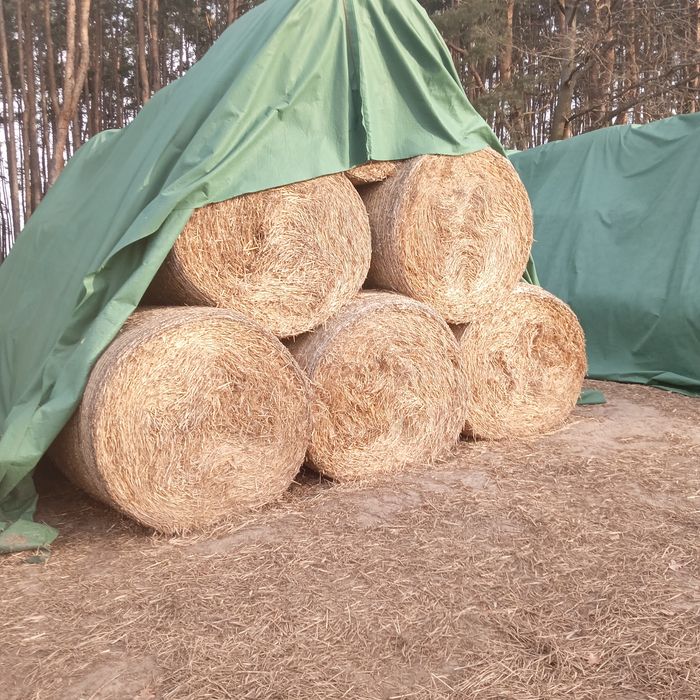 Witam sprzedam Słomę.120 presa simpa.