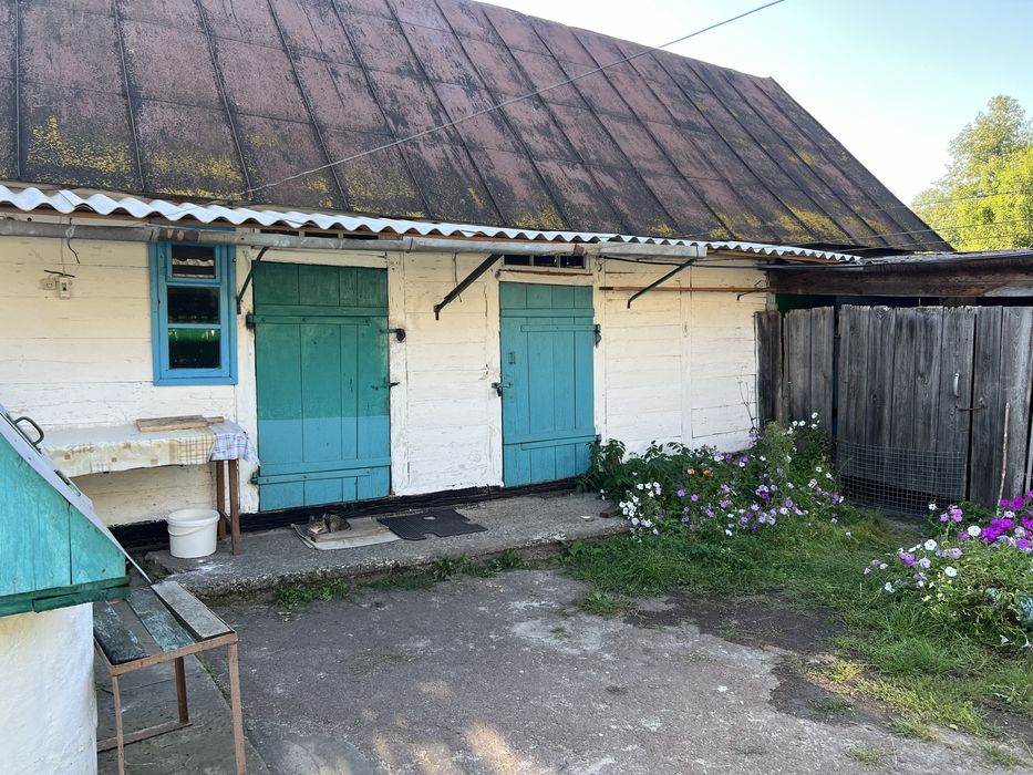 Будинок в селі Ушомир