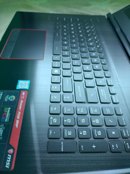 MSI GE73 Raider RGB 8RF