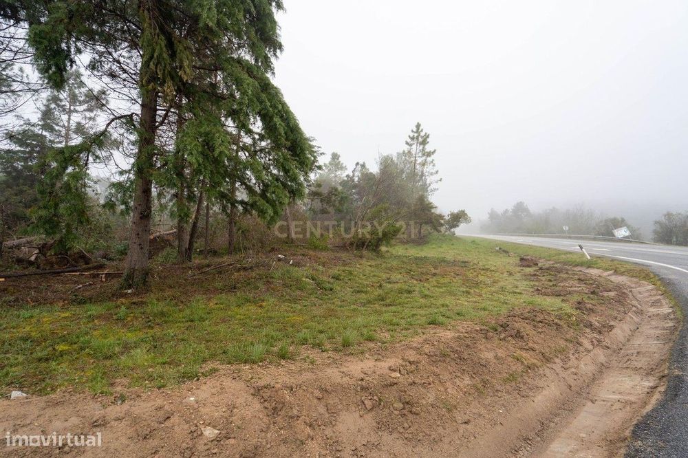 Terreno em Miranda do Corvo- Oportunidade Única por 37.000€