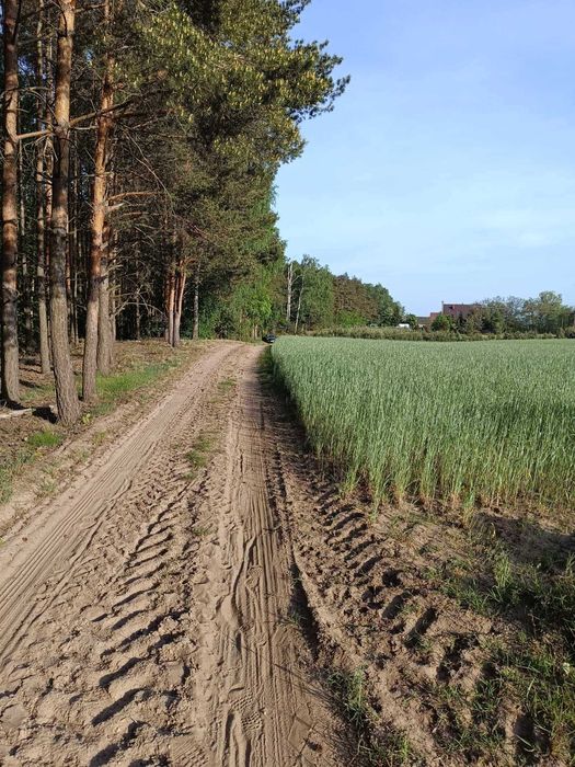 Działki rekreacyjne  w Powidzkim Parku Krajobrazowym