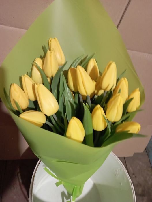 Продам тюльпаны, Квитка  оптом  к 8 марта