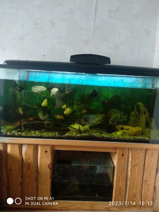 Акваріум 450л ,,,