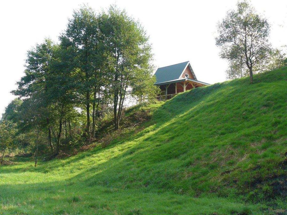 działkę rolno-budowlaną z domkiem całorocznym - Widok 4