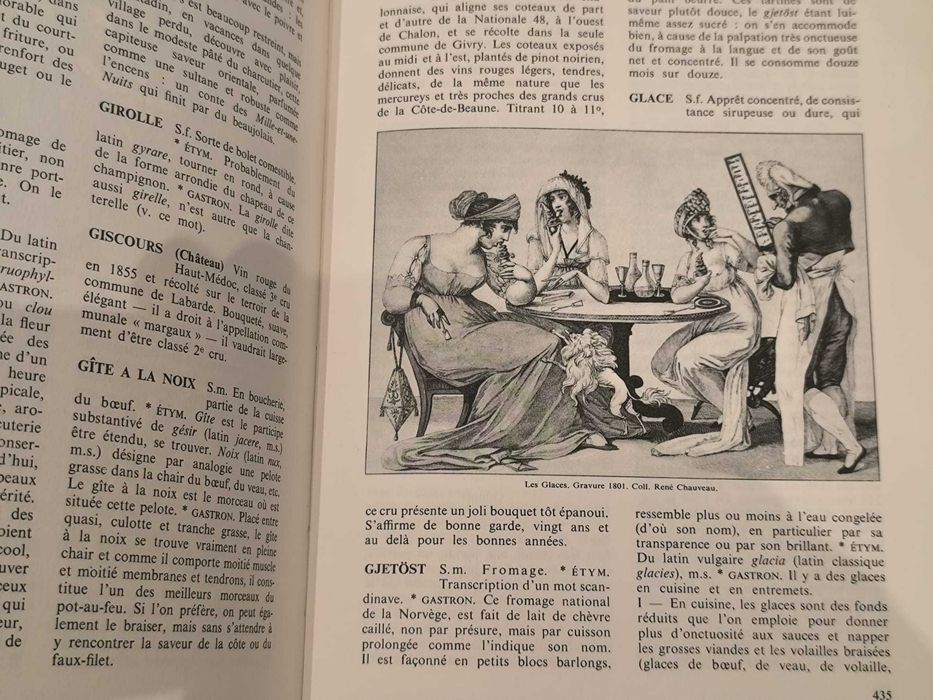 Dictionnaire de l'académie des gastronomes. Tome 1 : A-G.
