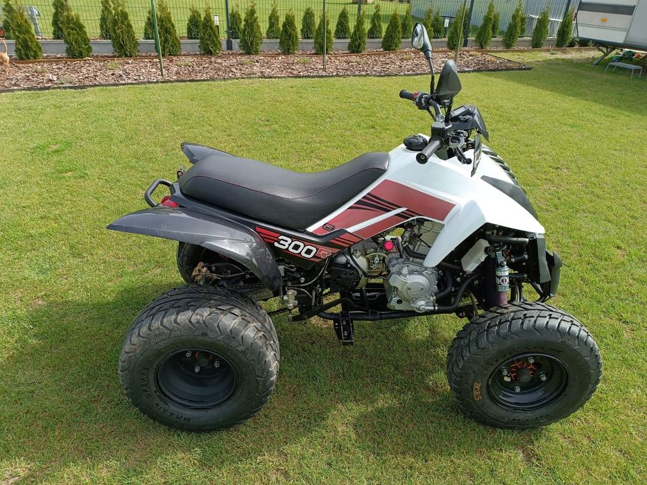 Quad Dinli Dl 801-300 2013