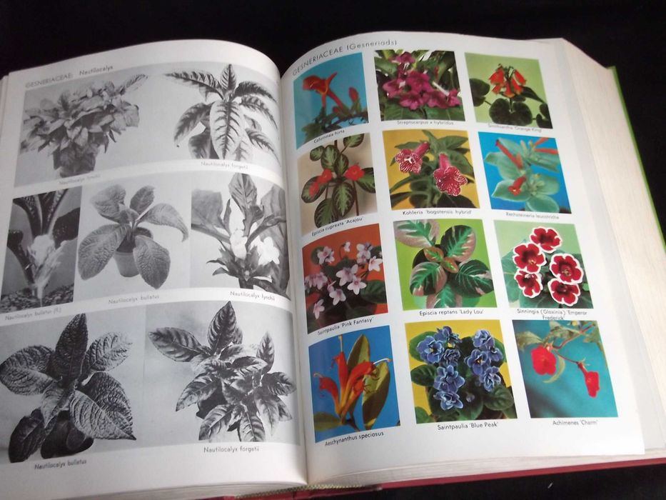 Livro Exotica pictorial cyclopedia edição centenário botânica Plantas