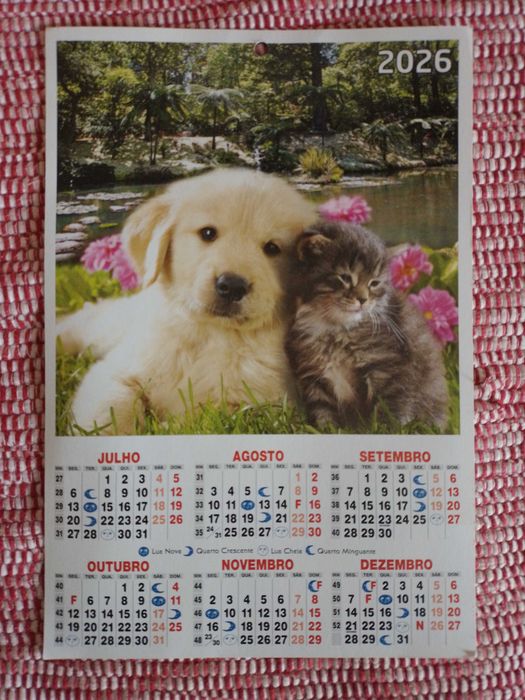 Calendário 2026 Gatos/Cão e Gato - Novo