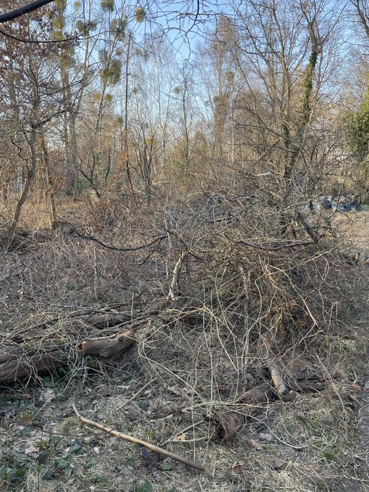 Oddam drewno na opał