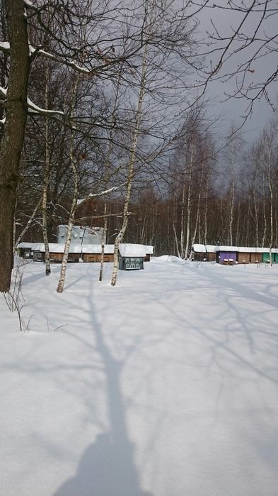 Пасіка в лісі, Бджолопавільйони, вулики, бджоли, вагончик