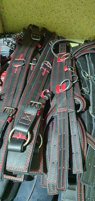 Шлея європейського зразку шкіряна,оздоблена. Великий вибір упряжі