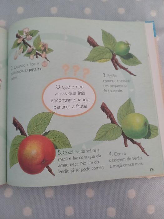 Ciência em primeira mão- Plantas e flores