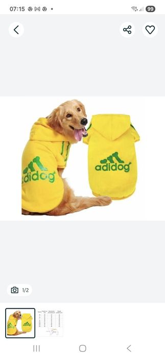 Bluza dla psa 4xl 3 sztuki