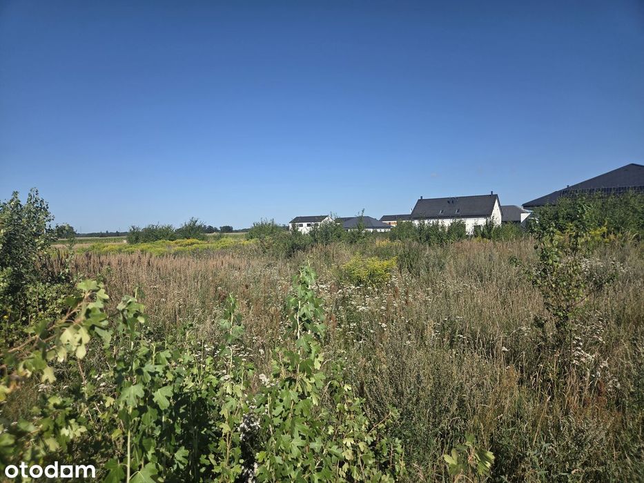 Dopiewo - działki budowlane, mpzp, spokojna okolica, ustawna - Widok 2