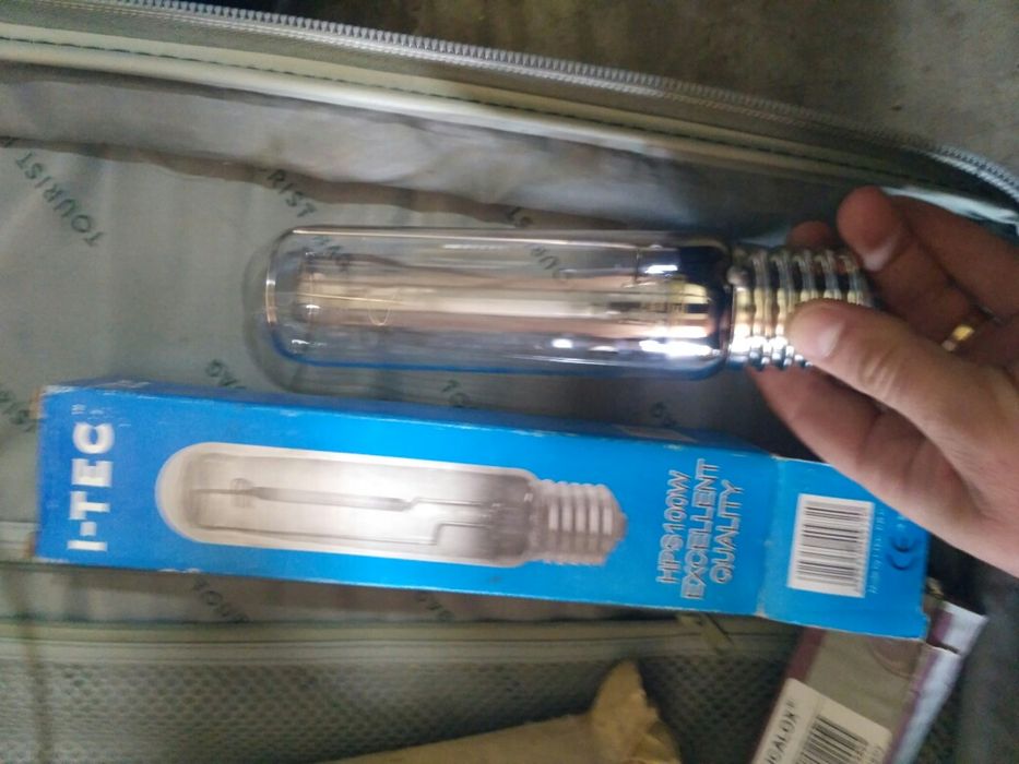 Лампи бактероцидні Філіпс